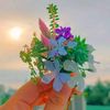 beautifulnice73