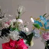 may487722