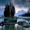 aicha.hafidak