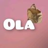 ola.mohamed490