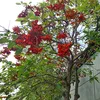 nh.sn.xut5
