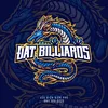 dat.billiards.shop