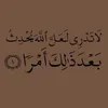cct_3l