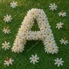 azizislam612
