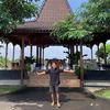 jualtanamannyogyakarta