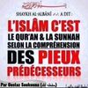 badra.aly99