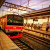 kebo_nyugsep7