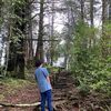 zhamj_45
