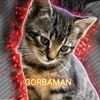 gorbaman7