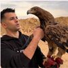 omar.ibrahim822