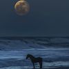 ghadeer.akram3