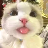 atuwsn