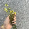 nastala96
