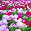 user3917193400128