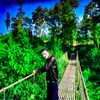 pasimeybbloodboys3