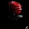 zenb.alsid