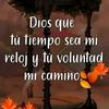 _chaparrita_782