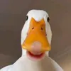 emir.cajlani5