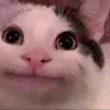 saleknhh7ei