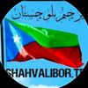 naser_somalzi_