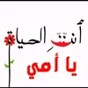 user9151047730004