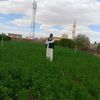 alkotmir