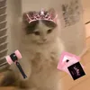 leososa12_
