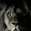jose.edelberto.es6