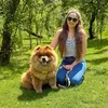 molly.the.chow.chow