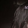 arbia.nawress