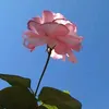 mohammad.noori759