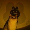 may_ceres