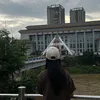 lthloveanh