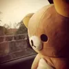 .jla_elefant