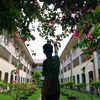 milo_pink162