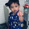 tiger_opet22