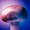 purplehelmet73