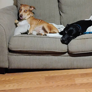 christopherhutchi066