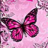 pauline.gross54