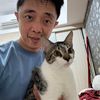 Luffi kucing lucu