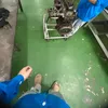vietnhat_0