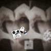 zpyup_13