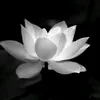 anh.hiu003