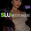slu.needs.an.exe