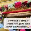 seema.rani302