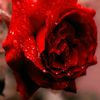 md.tamim.iqbal127