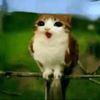 zoey_1223