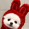 jannie_806