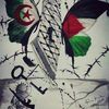 djamel9442