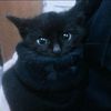 bruh_190777